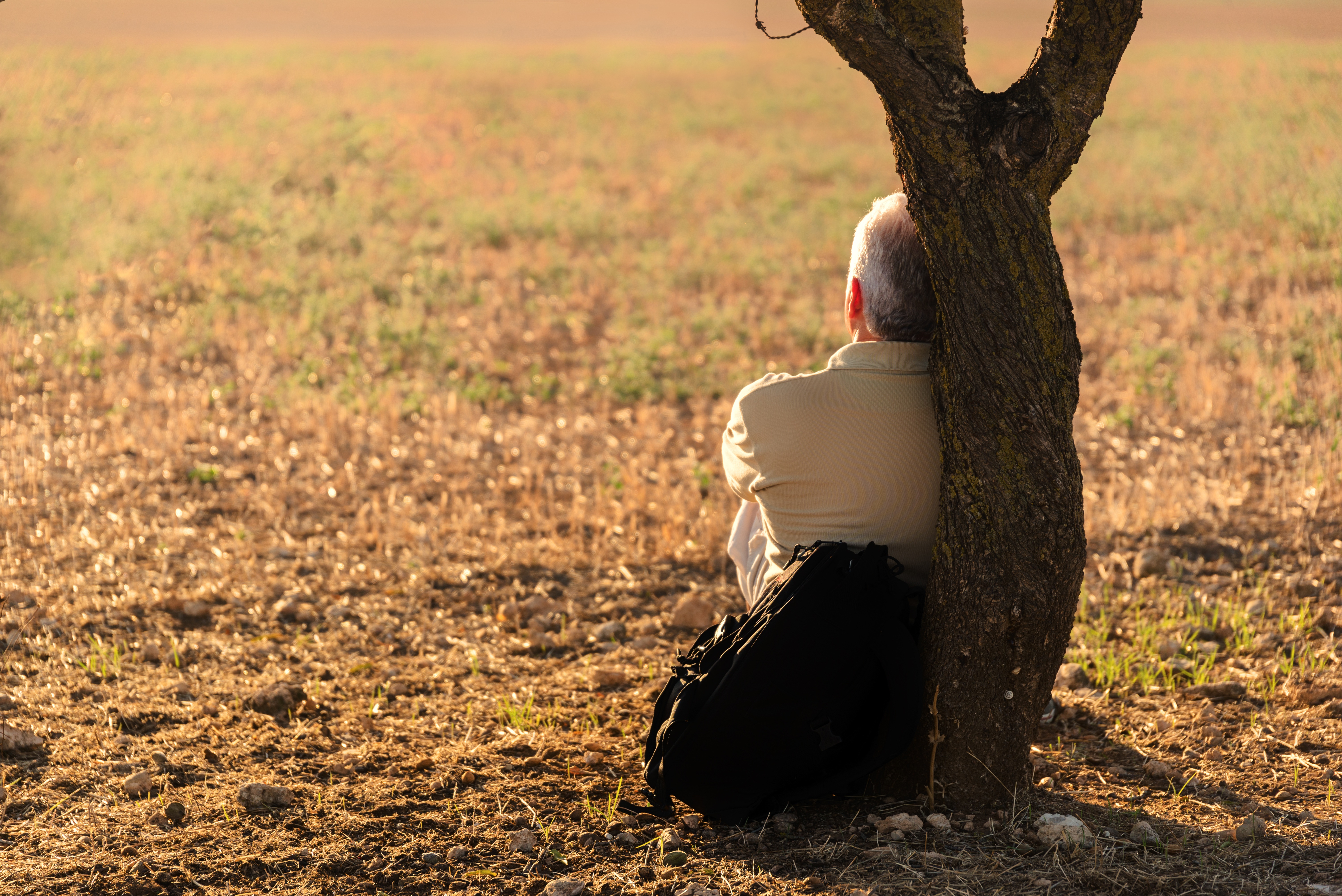 Man sitting under tree free image