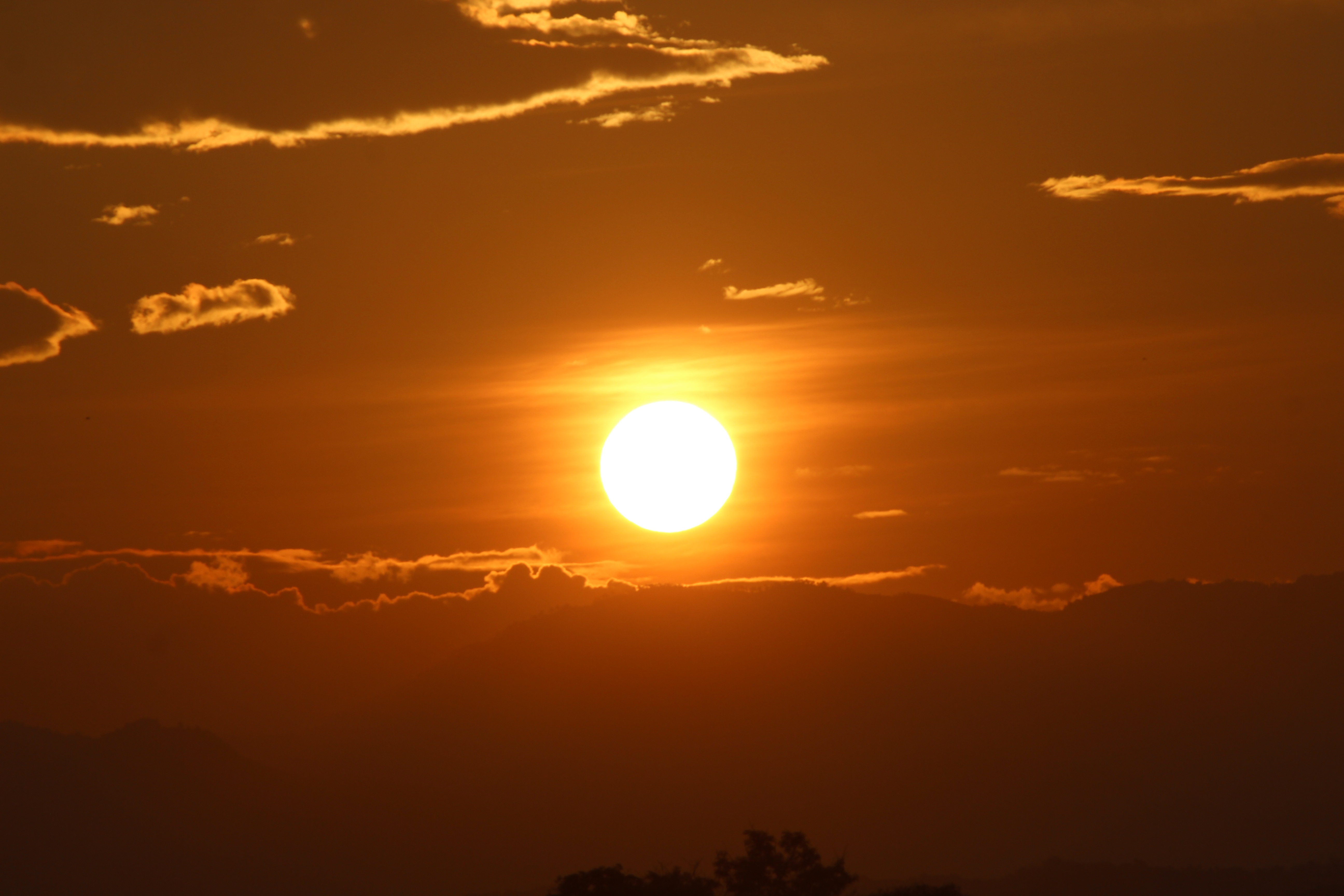 Orange sun in morning free image download