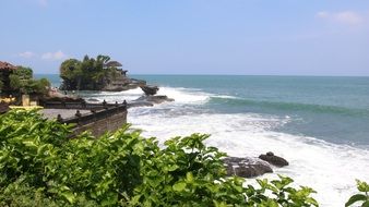 green plants on the coast of the indian ocean