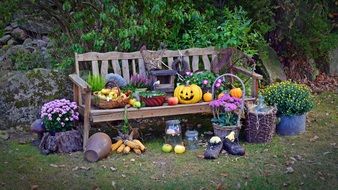 attributes on wooden bench for the harvest festival