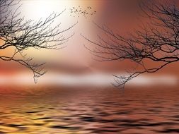 mystical picture of trees over the river