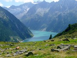 Photo of a mountain lake in Tyrol, Austria