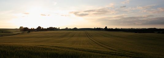 banner with a picture of the countryside landscape in Denmark