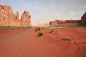 wonderful Desert Landscape