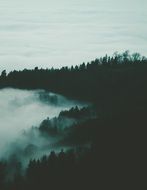 fog near the mountain