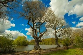 peaceful Spring Lake landscape with the colorful plants