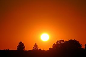 orange sunset over the treetops