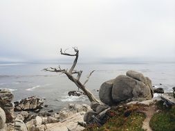 Rocks near ocean