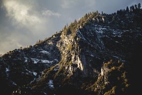 Snowy rocky mountains and green forest