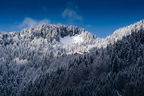 alpine mountains in the snow under a blue sky