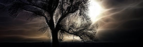 Abstract Winter Tree drawing