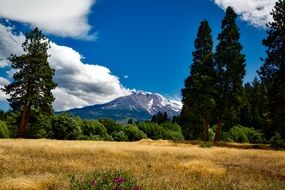 distant view of mount shasta in California