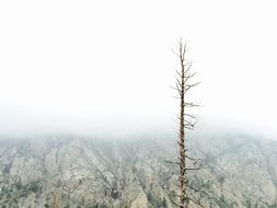 Foggy Landscape in the mountains