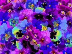 computer generated image of multi-colored violets