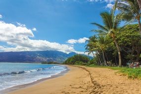 Beach Landscape Hawaii Maui