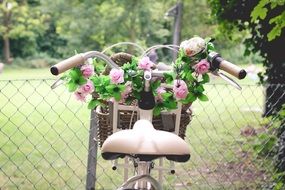 basket with roses on a bicycle