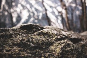rock close up