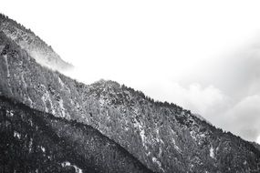 Mountain Hill Trees