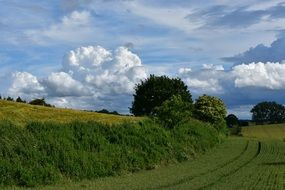 summer clouds over the countryside