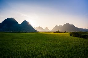 beyond the green meadow of the mountain