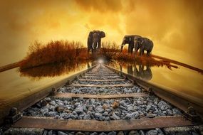 thailand elephant on railways at sunset