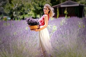 beatuful woman with basket of lavender flowers