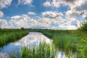 Landscape of river on a grass meadow