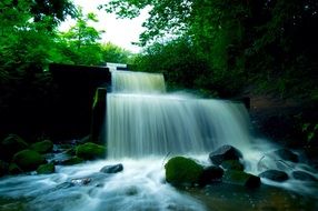 waterfall in botanical garden in Hamburg