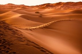 Aerial view of sand dune