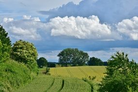 scenic landscape of arable fields