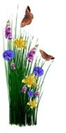 computer generated image of meadow flowers and spring butterflies