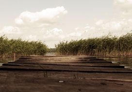 old wooden pier on water among cane thickets