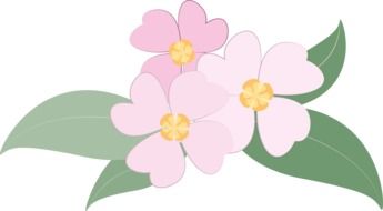 graphic image of a flowering plant with three flowers