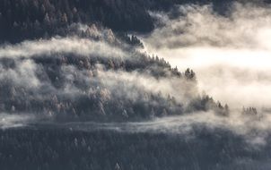 dark mountains in dense fog