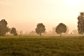 morning fog in the countryside