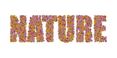 Nature sign