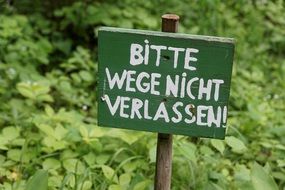inscription in the forest