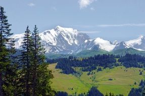 green valley against the backdrop of snowy Alps in France