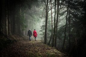 couple walking in the forest during fog