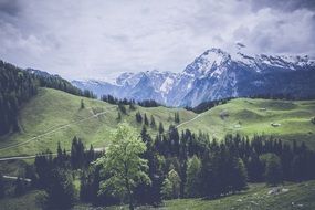 panorama of alpine terrain