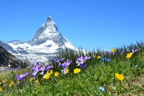 Matterhorn amazing mountain Zermatt