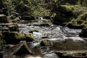 river among the stones covered with moss in the forest