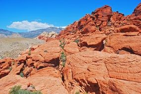 Landscape of red cliffs