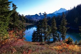 Landscape of national park in Washington