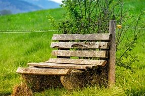 Bench Bank in forest