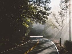 Fog on the roadway