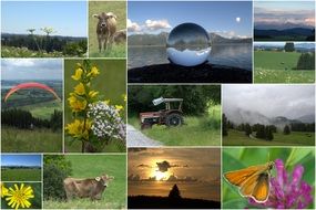 collage of bavarian landscapes