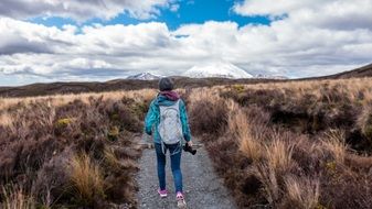 Person Hiking on the trail among the beautiful and colorful fields under blue sky with white clouds