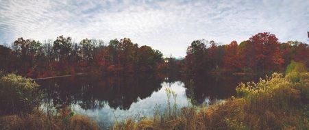 Vintage photo of pond in a forest