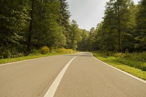 landscape of Road in Slavonia,Croatia